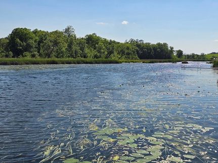 Land for sale in Otter Tail County, Minnesota