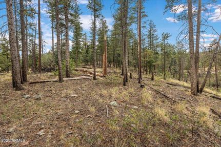 Land for sale in Apache County, Arizona