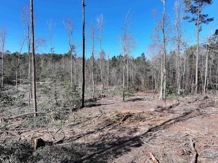 Land for sale in Hot Spring County, Arkansas