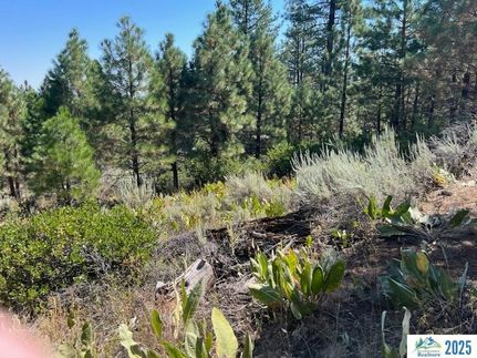 Land for sale in Modoc County, California
