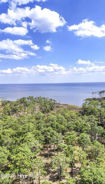 Land for sale in Pamlico County, North Carolina