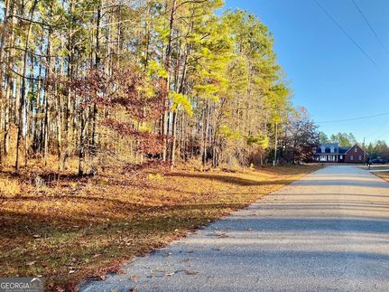 Land for sale in Taylor County, Georgia