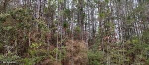 Land for sale in Pearl River County, Mississippi