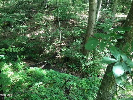 Land for sale in Greene County, Tennessee