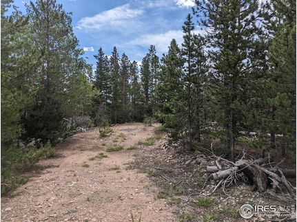 Land for sale in Larimer County, Colorado