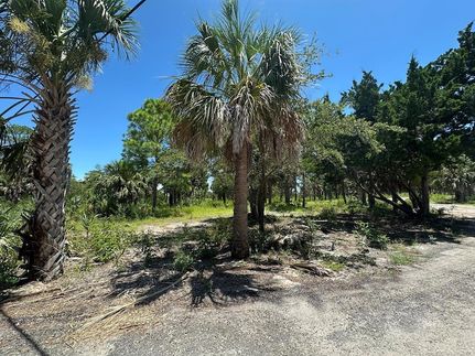 Land for sale in Levy County, Florida