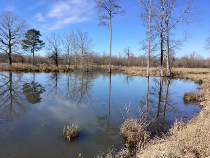 Land for sale in Nevada County, Arkansas