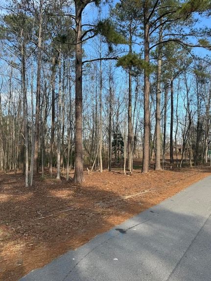 Land for sale in Edgefield County, South Carolina
