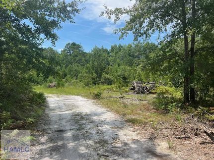 Land for sale in Long County, Georgia