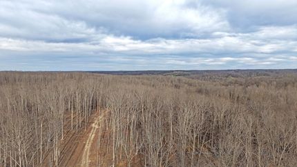 Land for sale in Dickson County, Tennessee