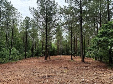 Land for sale in Van Buren County, Tennessee