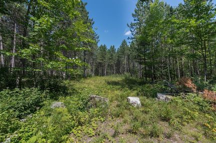 Land for sale in Oneida County, Wisconsin