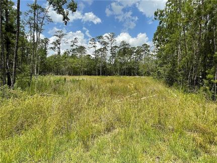 Land for sale in Saint Tammany Parish, Louisiana