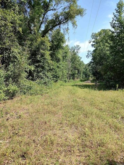 Land for sale in Calhoun County, Arkansas