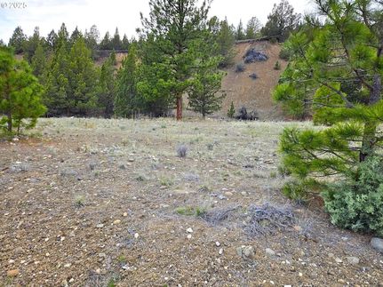 Land for sale in Grant County, Oregon