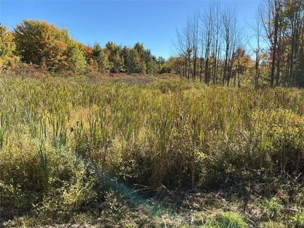 Land for sale in Erie County, Pennsylvania