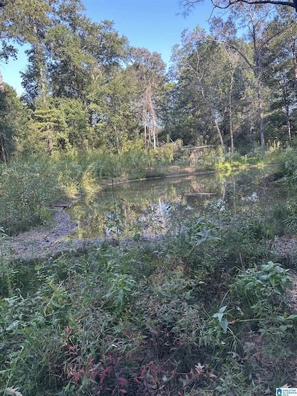 Homesite for sale in Calhoun County, Alabama