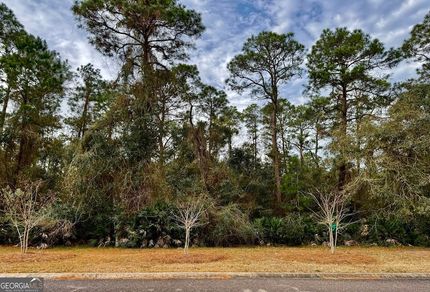 Land for sale in Camden County, Georgia