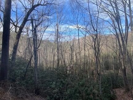 Land for sale in Graham County, North Carolina