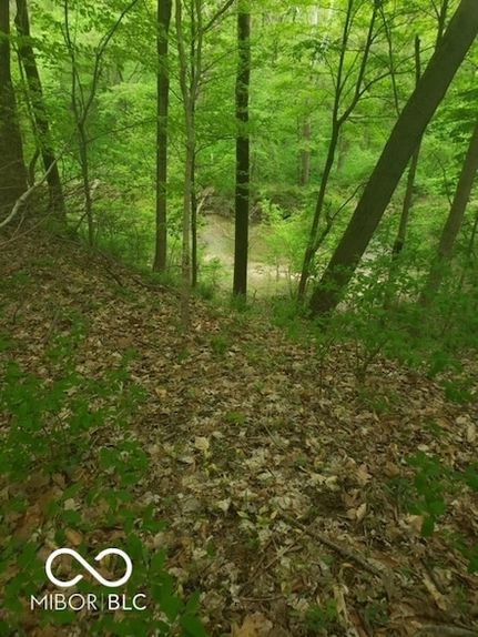 Land for sale in Morgan County, Indiana