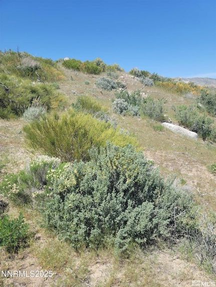 Land for sale in Washoe County, Nevada