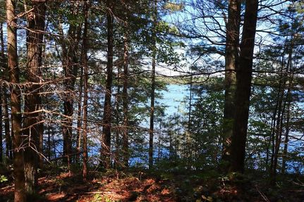 Land for sale in Vilas County, Wisconsin