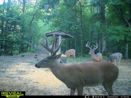 Farm and Ranch for sale in Hopkins County, Kentucky