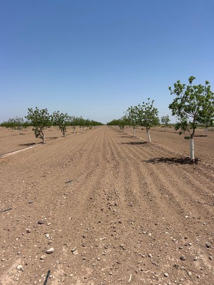 Farm and Ranch for sale in Pecos County, Texas