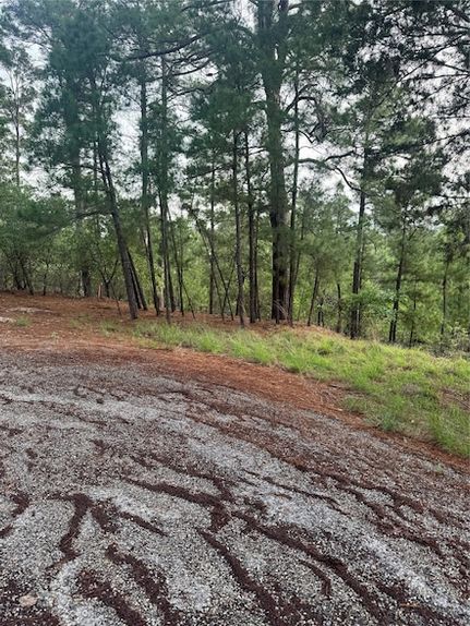 Land for sale in Bastrop County, Texas
