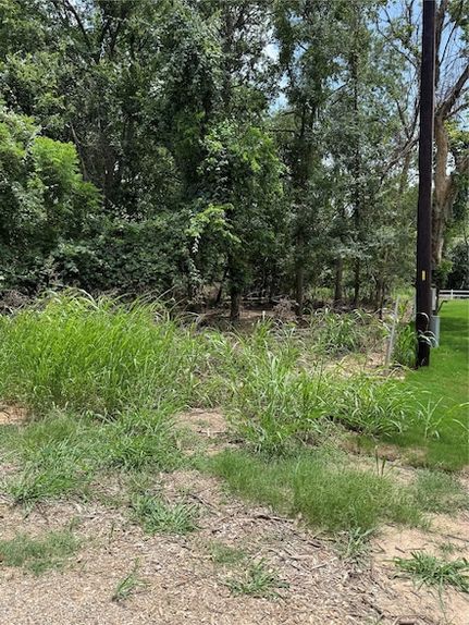 Land for sale in Bastrop County, Texas