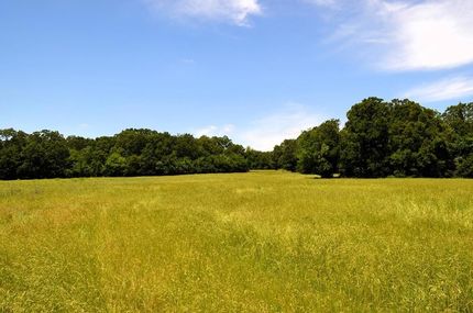 Land for sale in Henderson County, Texas