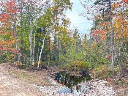 Land for sale in Chippewa County, Michigan