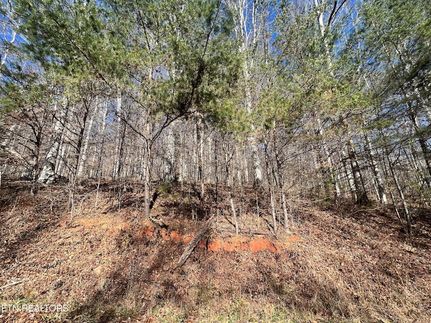 Land for sale in Claiborne County, Tennessee