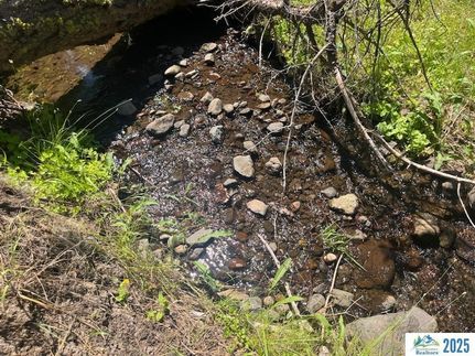 Land for sale in Modoc County, California