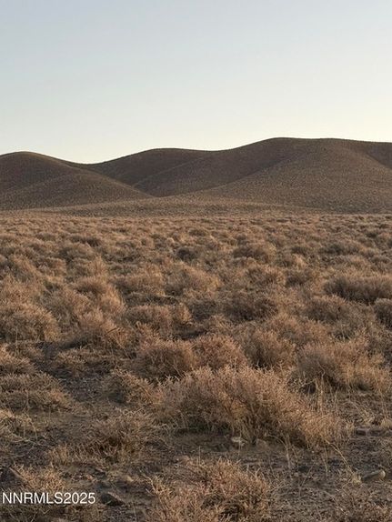 Land for sale in Lyon County, Nevada