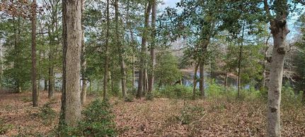 Lakefront Property for sale in Accomack County, Virginia