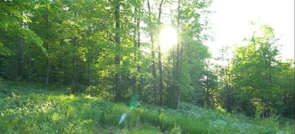 Homesite for sale in Bayfield County, Wisconsin