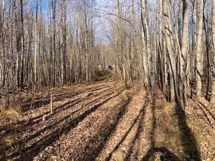 Land for sale in Rusk County, Wisconsin