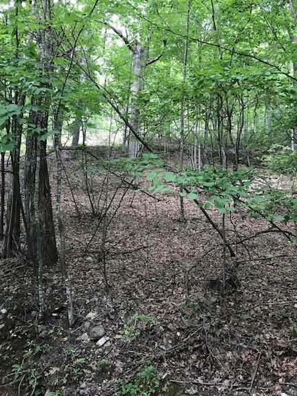 Homesite for sale in Highland County, Virginia