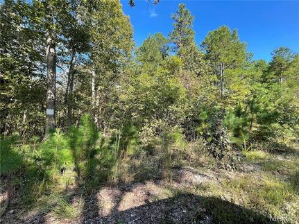 Land for sale in Butler County, Missouri