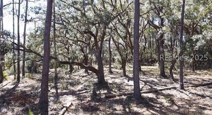Homesite for sale in Jasper County, South Carolina