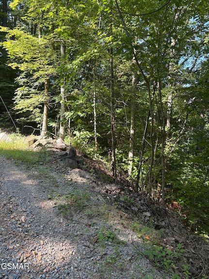 Homesite for sale in Sevier County, Tennessee