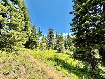 Land for sale in Valley County, Idaho