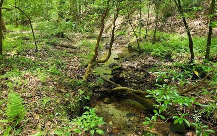 Land for sale in Union County, Georgia