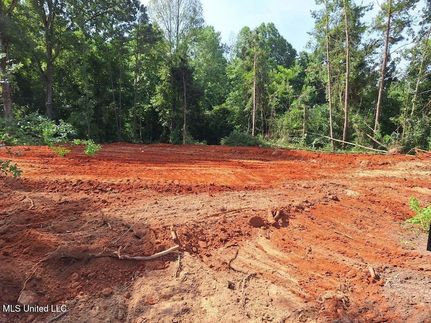 Land for sale in Simpson County, Mississippi