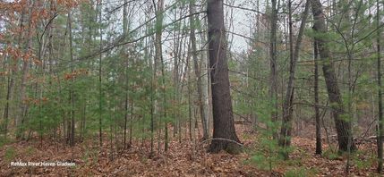 Land for sale in Gladwin County, Michigan