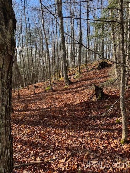 Land for sale in Baraga County, Michigan