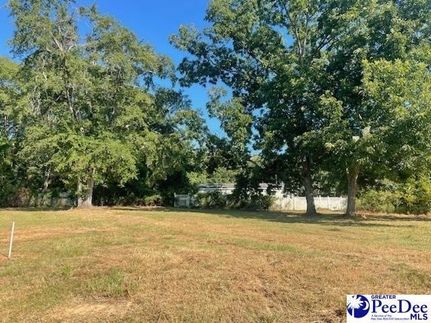 Land for sale in Chesterfield County, South Carolina