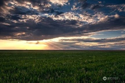 Land for sale in Adams County, Washington