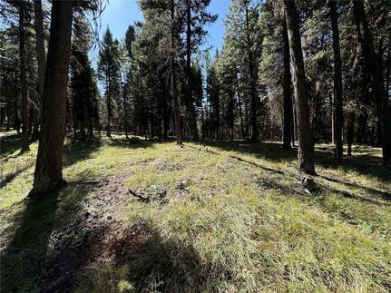 Land for sale in Missoula County, Montana